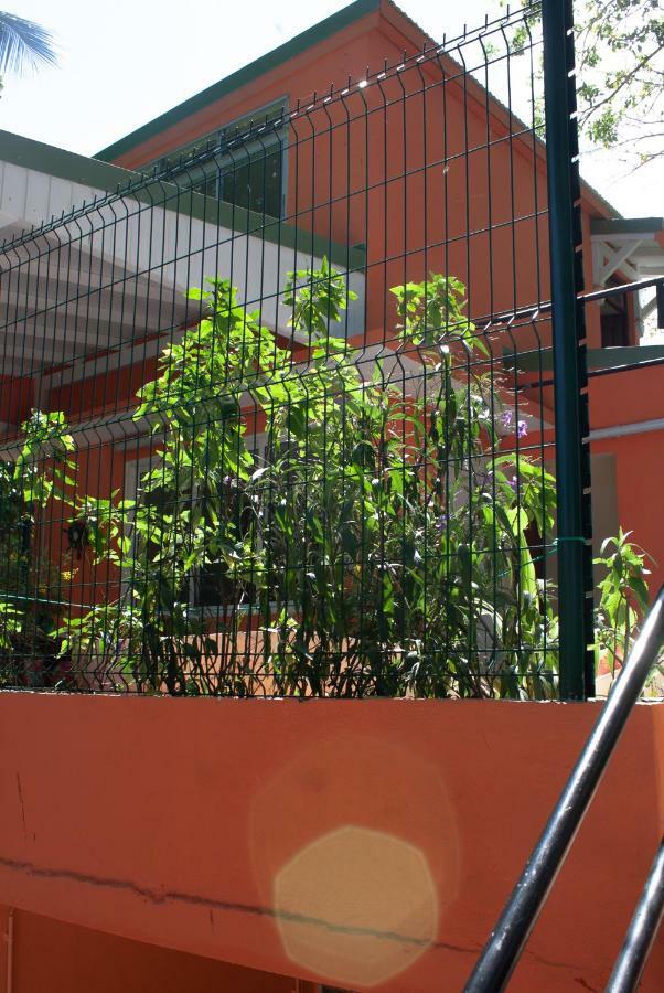 Hotel le Cocon Le Moule Esterno foto
